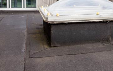 disadvantages of Guyzance flat roofs