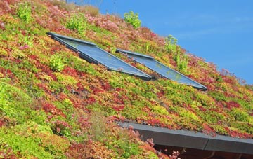 Guyzance living roof systems