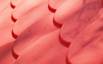 Guyzance plastic roof costs