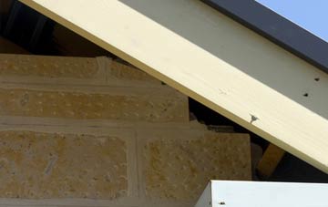 soffit repair Guyzance