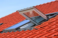 Guyzance roof window