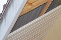 rated Guyzance soffit repair companies